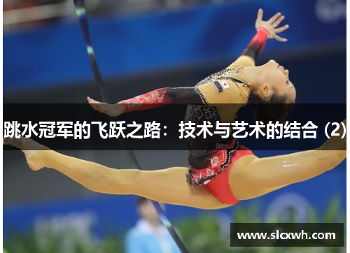 跳水冠军的飞跃之路：技术与艺术的结合 (2)